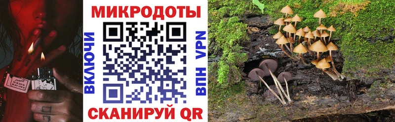 Галлюциногенные грибы ЛСД купить сайты Лодейное Поле